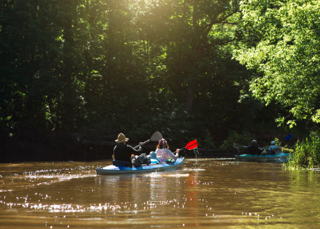 Kayak Rentals