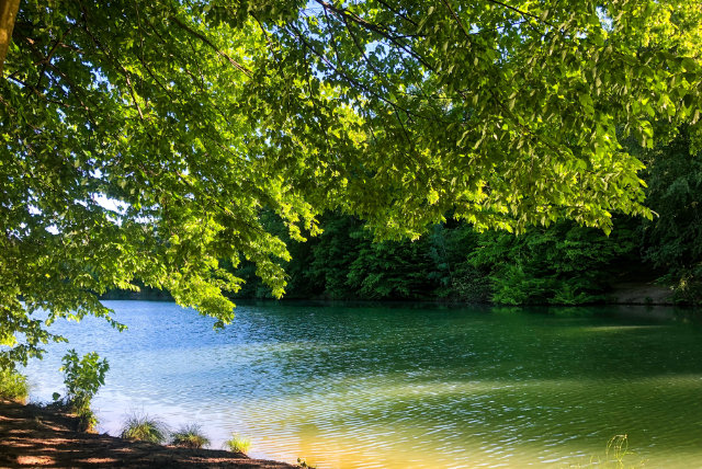 lake merwin dam