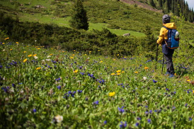 spring hiking