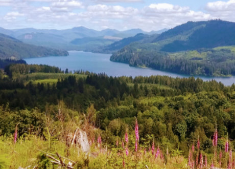 Lake Merwin view from unmarked locals hiking trail